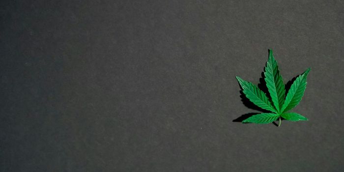 Teen Cannabis Use Linked to 11x Higher Risk of Psychotic Disorders