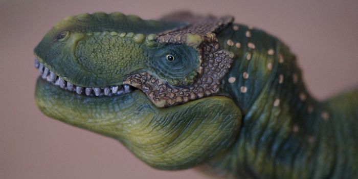 How Hard Could a T-Rex Bite?