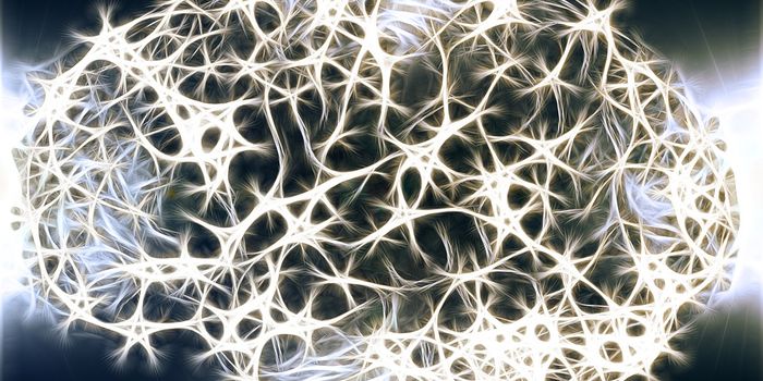 Genetic Activity in the Brain Changes in Response to Social Stress