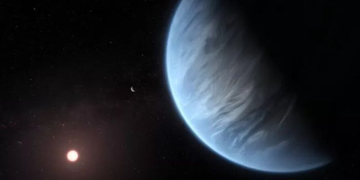 Sub-Neptunes and the Search for Life Beyond Earth