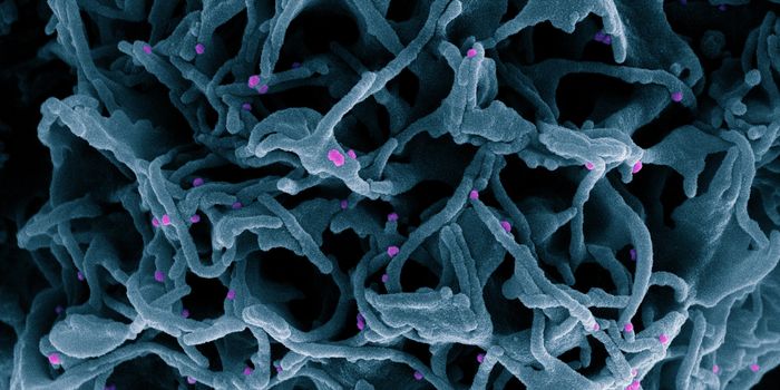The Molecular Gate That Enables SARS-CoV-2 to Infect Cells