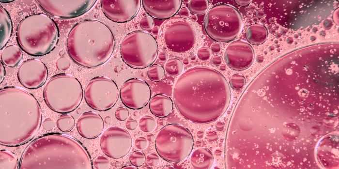 How Statins Can Cause Muscle Damage