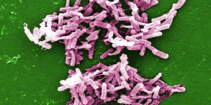 Chlorine Disinfectant Is No Better at Destroying Superbug Than Water