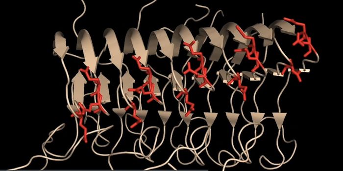 Scientists Find a Non-Invasive Way to Detect Prions