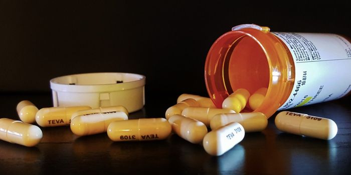 Medication May Build Up in Gut Bacteria, Impacting the Drug & Microbiome