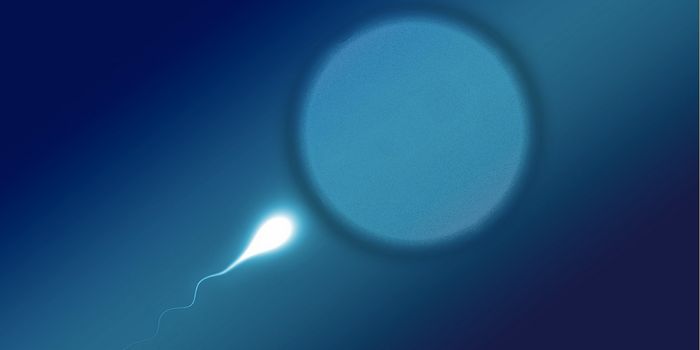 Data Suggests Sperm Count Decline is Accelerating Worldwide