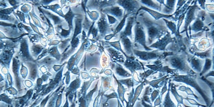 Putting the Brakes on Evolution for Improved Bioproduction