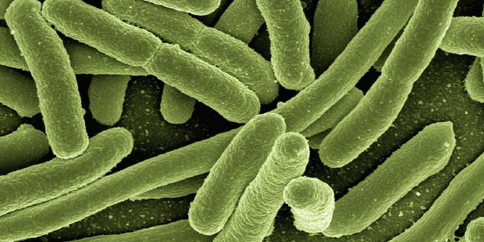 A Vaccine to Prevent Urinary Tract Infections is in Development