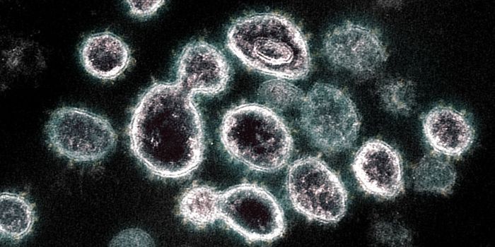 Why COVID-19 Vaccination is Better Than Natural Immunity from an Infection