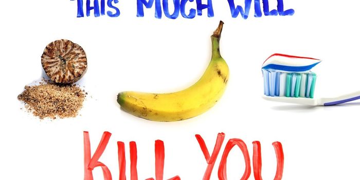 How Much of Something is Too Much?