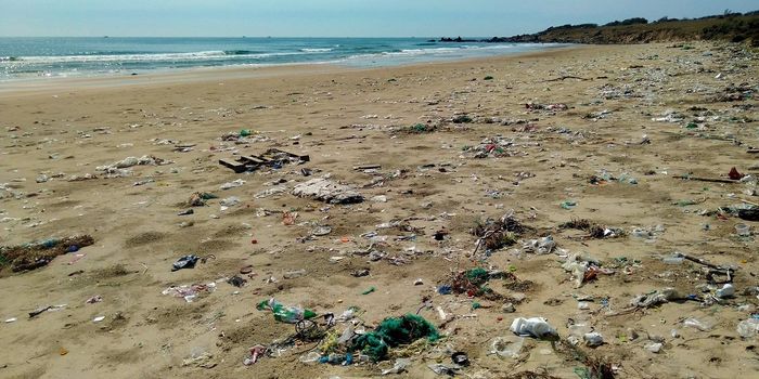 United Nations Developing Plastics Treaty Committee