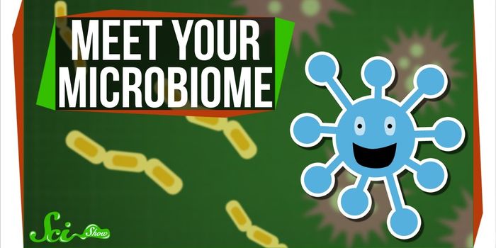 Introducing: the Human Microbiome