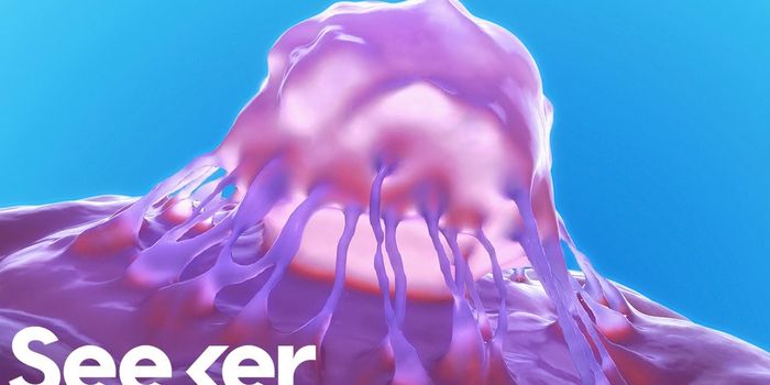 Growing new Organs From Reprogrammed Skin Cells