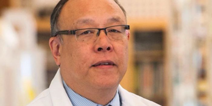 Specific Bacteria Impact Fat Absorption