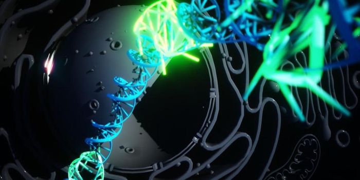 In a First, DNA Quadruple Helix Observed in Live Human Cells