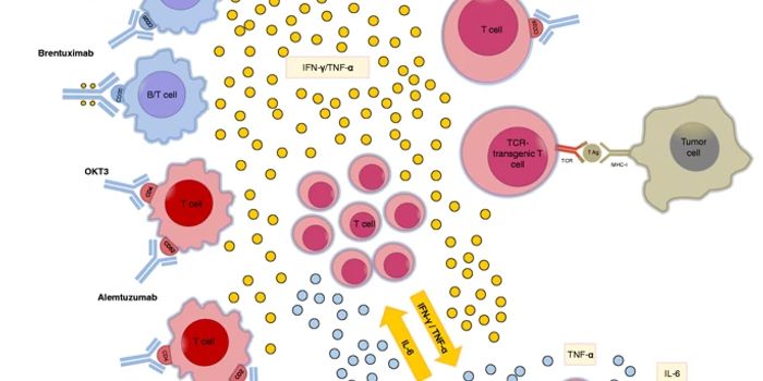 Game-Changing New Receptor Unlocks the Potential of CAR-T Cell Therapy
