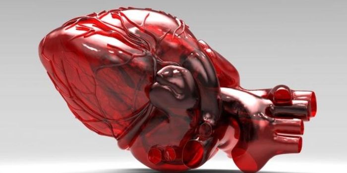 Creating Heart Muscle Tissue from Stem Cells