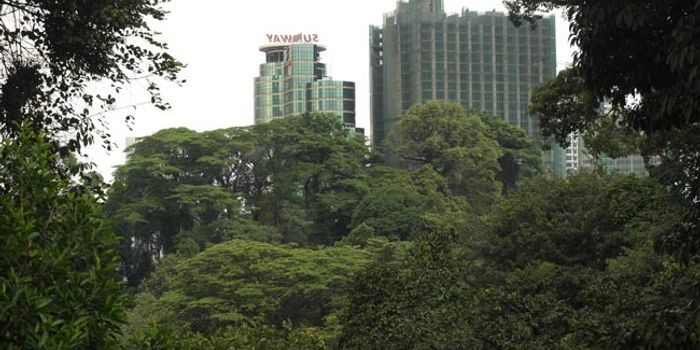 Kuala Lumpur boasts a biodiversity Eden