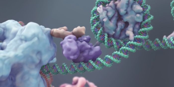 Concerns About the CRISPR/Cas9 Gene Editor