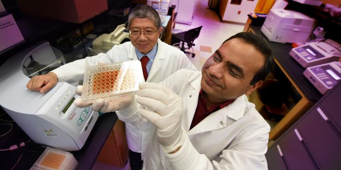 Identifying Causative Genes for Type I Diabetes