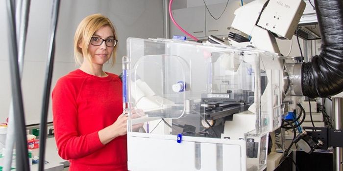 Rafts on the Cell Membrane, Reconsidered