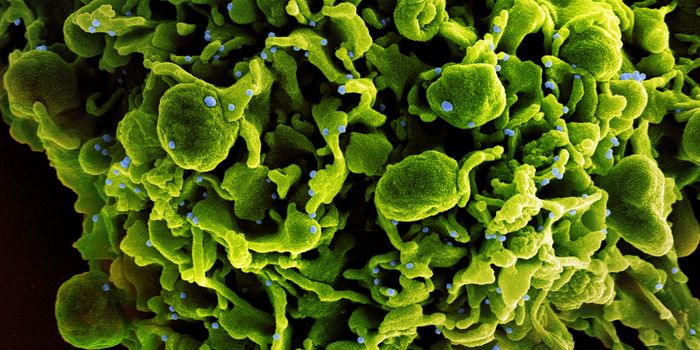 Researchers Create a Vaccine For Multiple SARS Viruses, Including COVID-19 & Variants