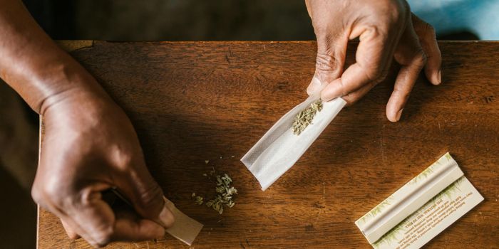 Study Highlights Improved Quality of Life for Medical Cannabis Patients