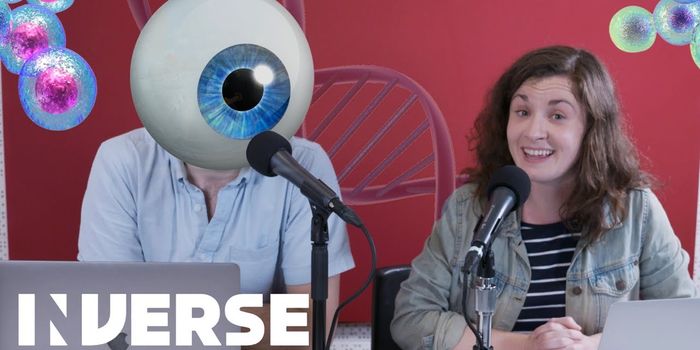 Retina Organoids Help Researchers Learn More About Color Vision