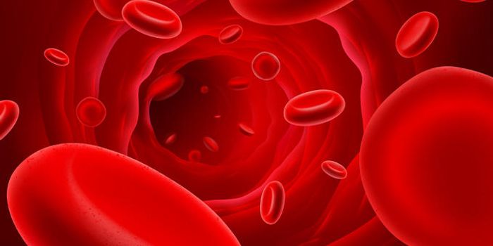 Scientists Discover How to Change Human Leukemia Cells Into Harmless Immune Cells