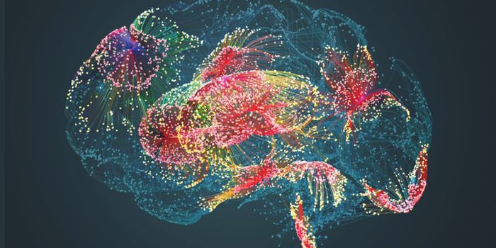 Monitoring Cerebral Organoid Development with Imaging and Cytometry