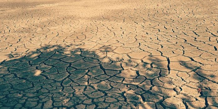 Megadrought Brings Western US Lakes to Record Lows