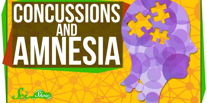 Amnesia: How Memories Get Lost