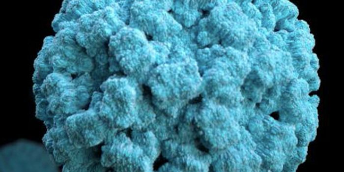 Learning How Norovirus Infections Start