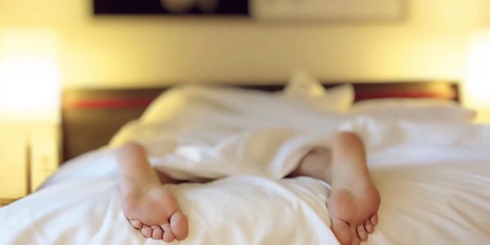 Junk DNA Helps Control the Body Clock