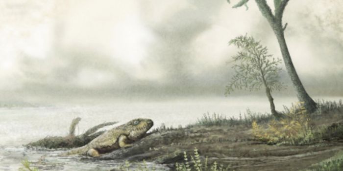 Superbug Bacteria Have Been Around Since Life on Land Began