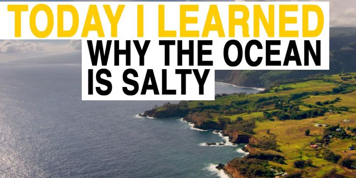 What Makes the Sea So Salty?