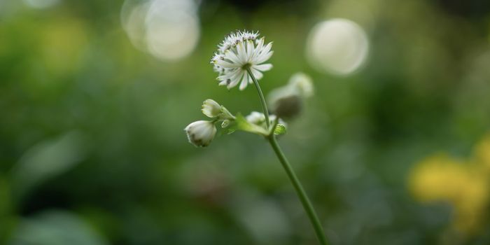 Do DNA Mutations Really Occur at Random?