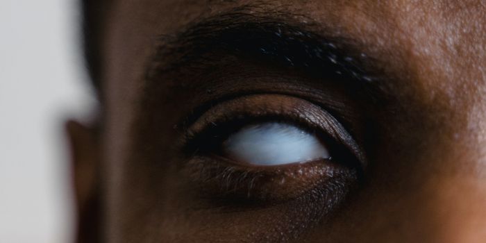 Drug discovery and development for treating river blindness