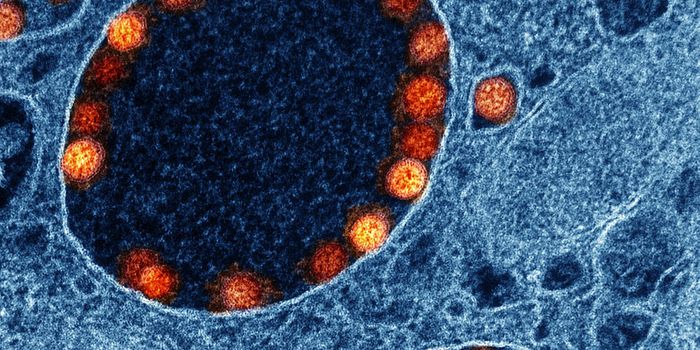Repeated COVID Vaccinations Generate a Range of Neutralizing Antibodies