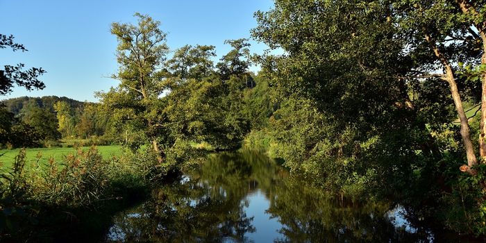 As Above, So Below: Restoring Wetlands and Mapping Watersheds