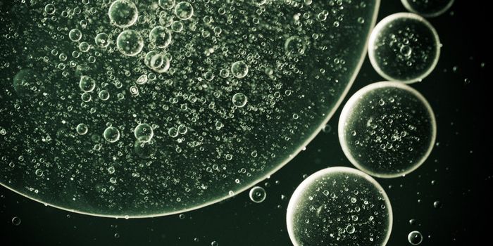 How Some Bacteria Promote Colon Cancer