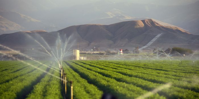 Arsenic in your water?