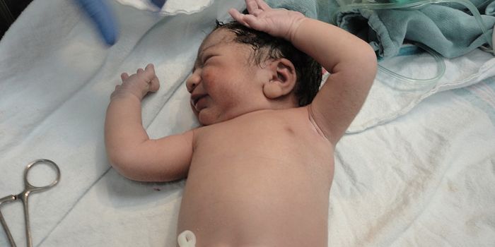 Cord Blood Samples Reveal More About the Genetics of Autism