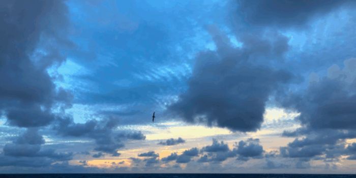 Deeper Pacific Waters Show Accelerated Acidification Trends