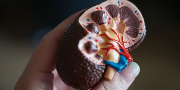 Kidney Failure in COVID Survivors