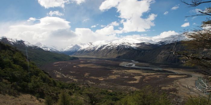 Some Gases Released by Plants Have a Powerful Impact on Cloud Formation