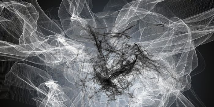 Lost in Translation: How Genetic Conflicts are Avoided in Neural Stem Cells