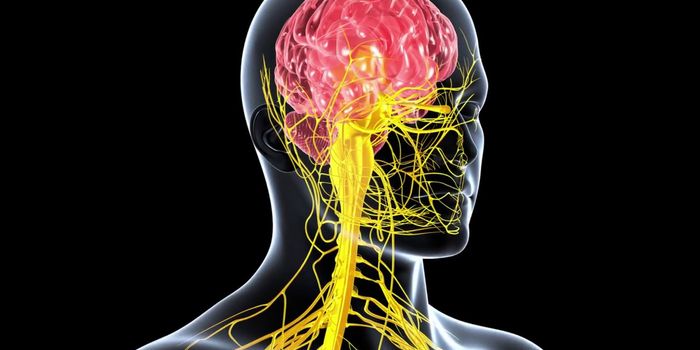 Can Nerve Stimulation Improve Learning?