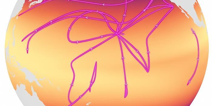 Long-Term Ocean Study Shows Microbe's Sensitivity to Heat