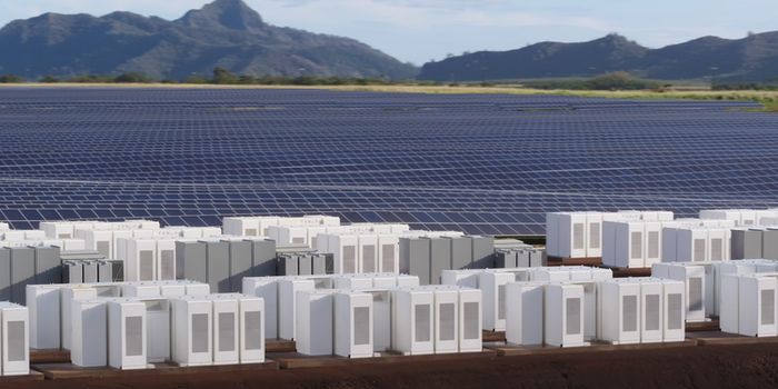 Kauai's Massive New Solar Farm